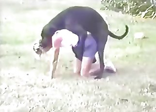 Beauty and her Doberman are enjoying bestiality mutt fuck