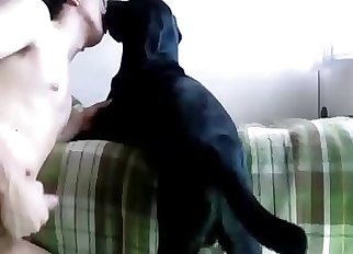 Impressive bestiality temptation here