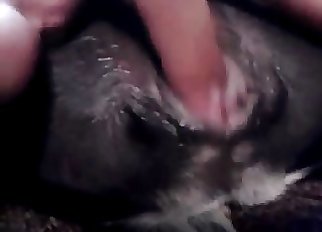 Close-up bestiality action for you